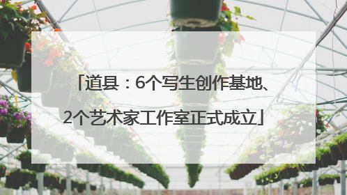 道县：6个写生创作基地、2个艺术家工作室正式成立